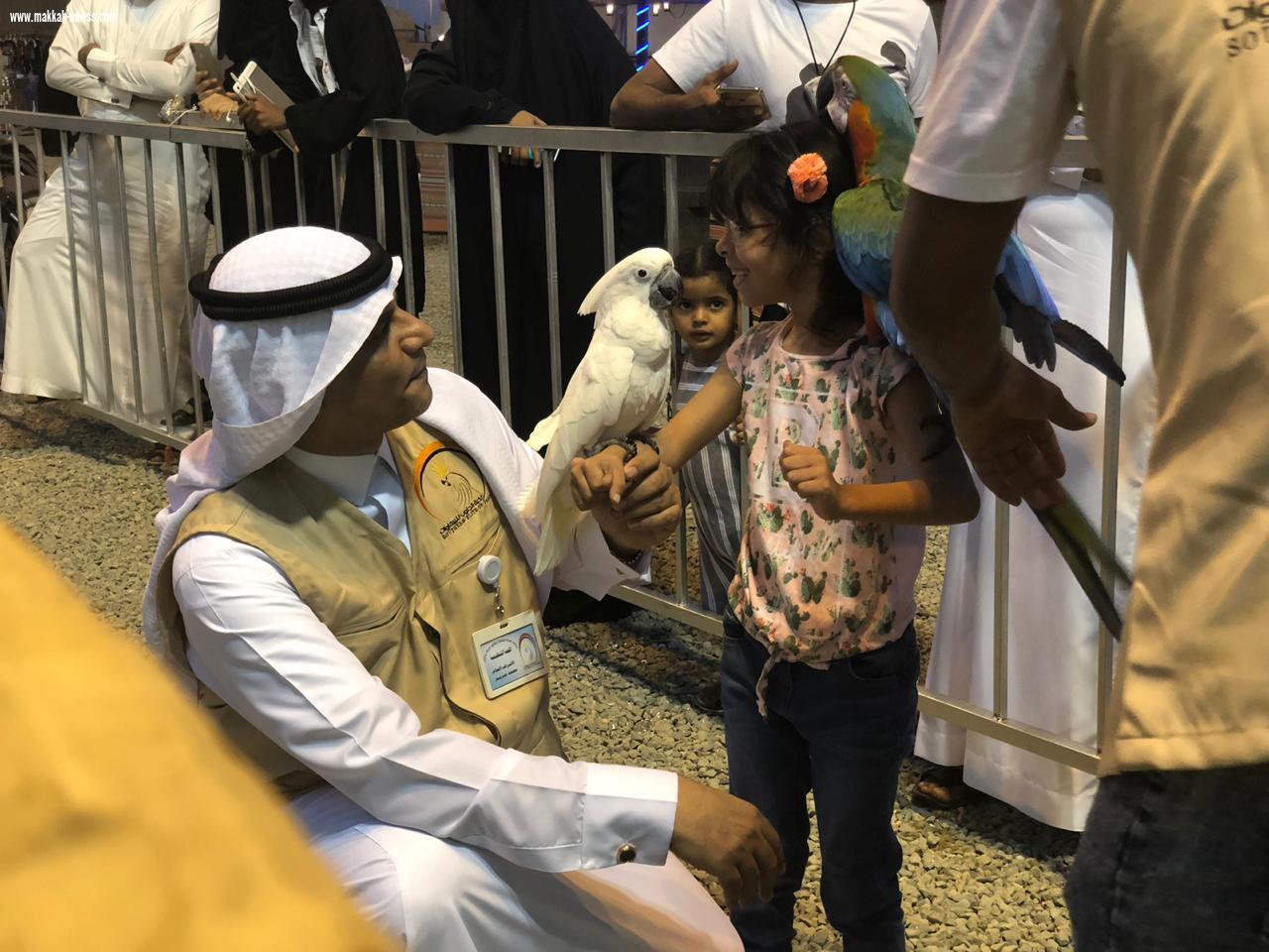 نخبة الجنوب للببغاوات