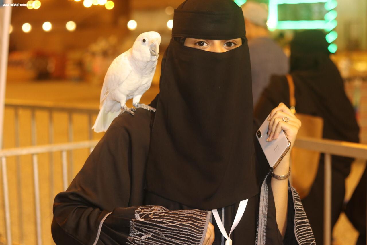 نخبة الجنوب للببغاوات