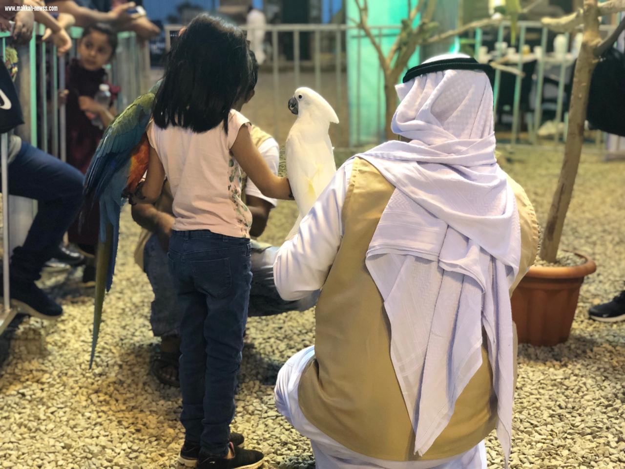 نخبة الجنوب للببغاوات