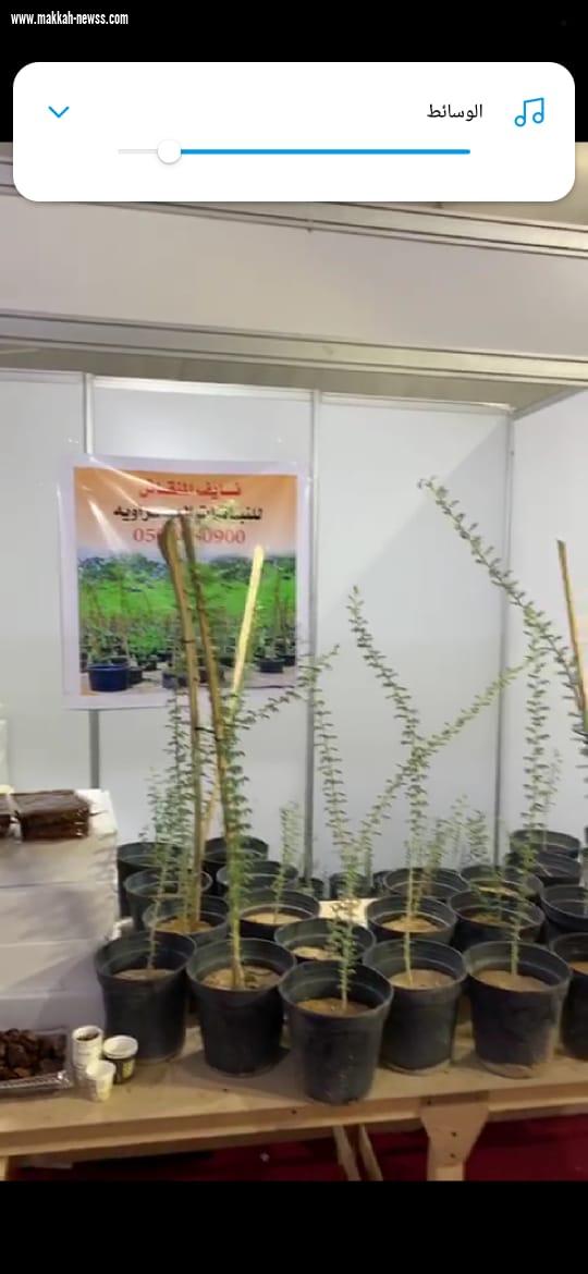مبادرة زراعة النباتات الصحراوية  في محافظة القويعية
