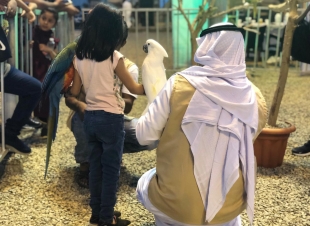 نخبة الجنوب للببغاوات