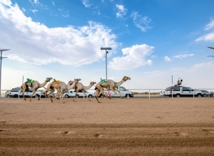 اتحاد الهجن يعلن جاهزية ميدان رماح بمساحة 20 مليون متر مربع
