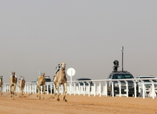 الشوط الثـالث في رماح يشهد افضلية التوقيت لـ جود و بنت سنافي
