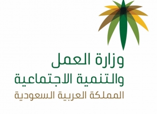 العمل والتنمية الاجتماعية