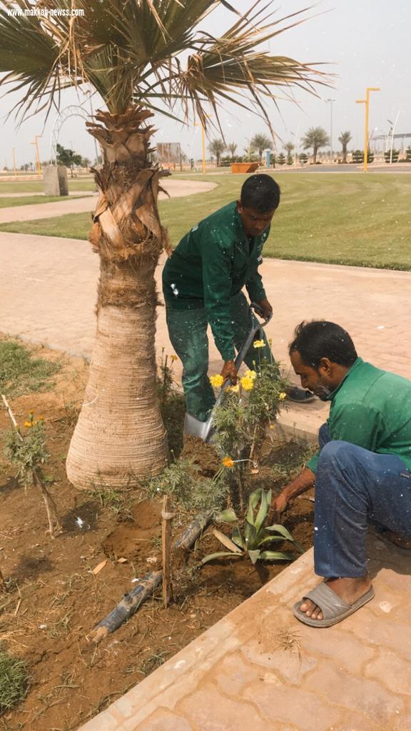 ضمن فعاليات أسبوع البيئة المعلمة المتطوعة مرغمة خواجي تبادر بحملة تشجير حديقة ضمد 