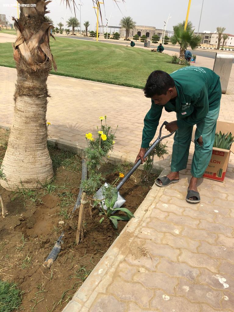 ضمن فعاليات أسبوع البيئة المعلمة المتطوعة مرغمة خواجي تبادر بحملة تشجير حديقة ضمد 