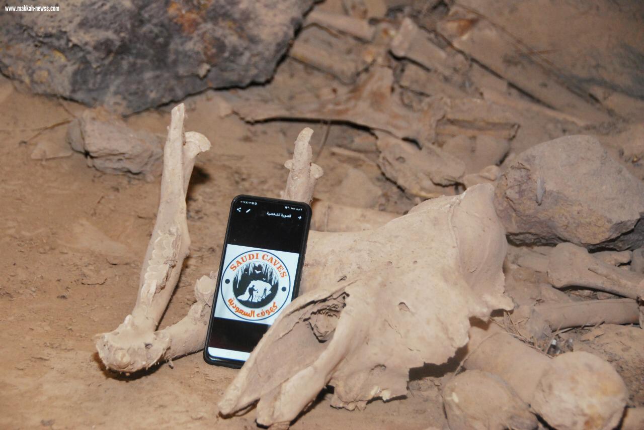 أكثر من 20 مرشدا ومرشدة من فريق كهوف السعودية ينفذون رحلة استكشافية لكهف ماكر الشياهين شمال المدينة المنورة