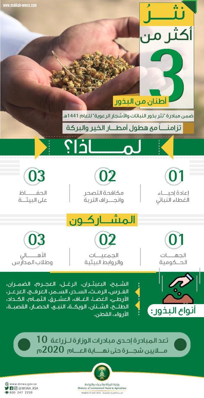 بالتزامن مع هطول أمطار الخير.. 