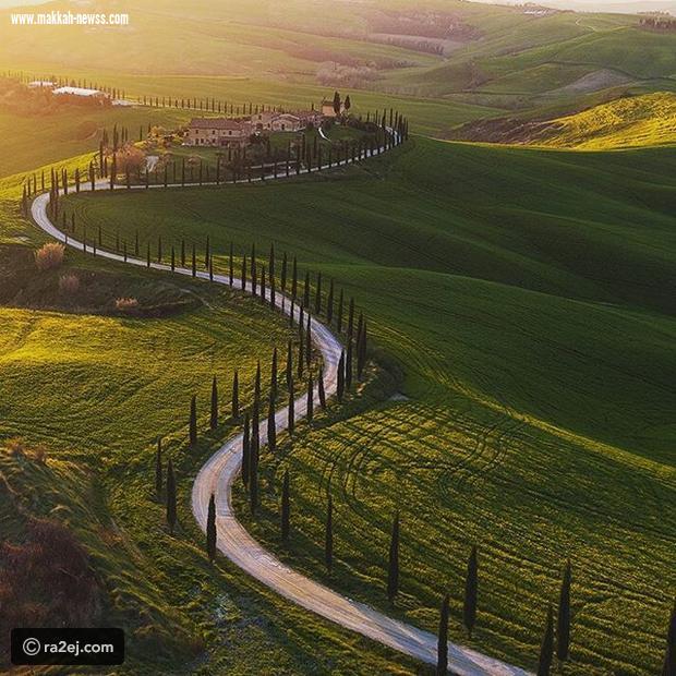 رواية الحياة...