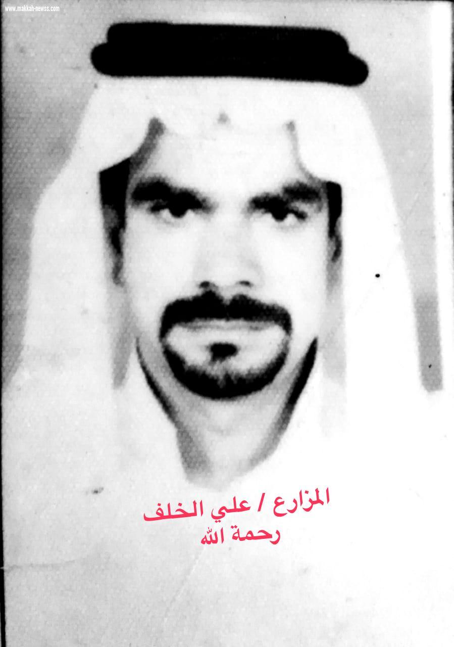 دخول موسم تلقيح النخيل بالأحساء