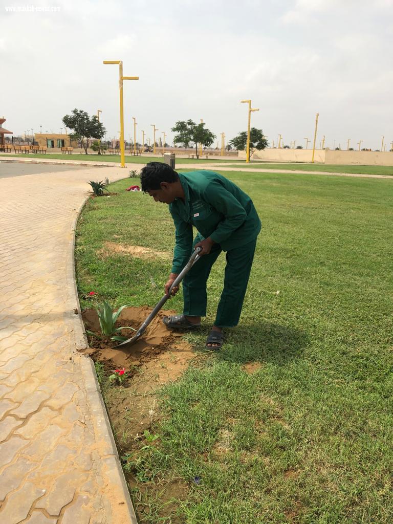 ضمن فعاليات أسبوع البيئة المعلمة المتطوعة مرغمة خواجي تبادر بحملة تشجير حديقة ضمد 
