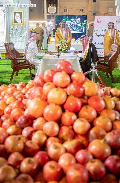 سمو الأمير فيصل بن مشعل يرعى اليوم الذهبي لمهرجان الرمان بنسخته الثالثة بمركز الشيحية