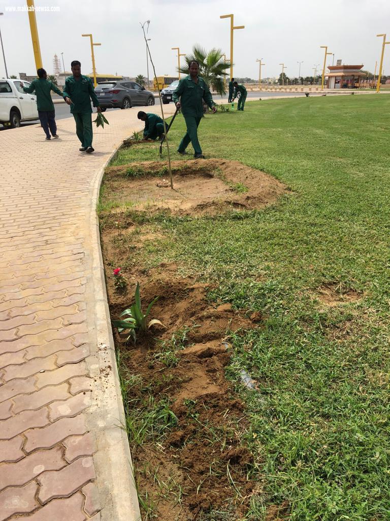 ضمن فعاليات أسبوع البيئة المعلمة المتطوعة مرغمة خواجي تبادر بحملة تشجير حديقة ضمد 