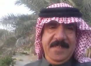 دخول موسم تلقيح النخيل بالأحساء