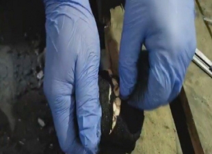 المديرية العامة لمكافحة المخدرات تكشف إحباط محاولات تهريب ما يقارب 33 مليون قرص 