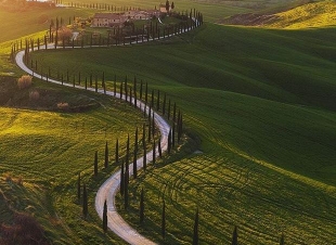 رواية الحياة...