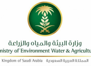 «البيئة» تدعو ملاك الإبل إلى الاستفادة من فترة التسجيل المجاني و تُجدِّد دعوتها لاستصدار الرقم الإلكتروني للإبل