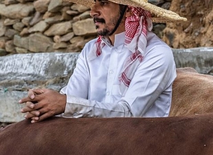 مهرجان الأطاولة التراثي يحاكي الماضي ويبرز الحاضر