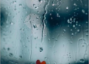 تسابيح المطر 