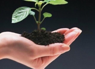 البناء الوجداني لقيم المواطنة داخل المجتمع التعليمي 