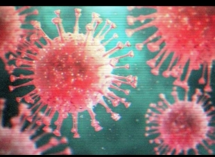 كورونا والخير الخفي 