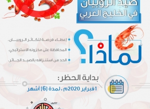 البيئة تحظر صيد الروبيان بالخليج العربي في فبراير المقبل