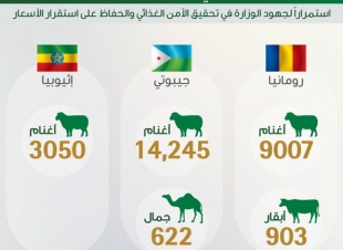 البيئة: 27,827 رأساً من المواشي تصل من رومانيا وإثيوبيا وجيبوتي إلى المملكة