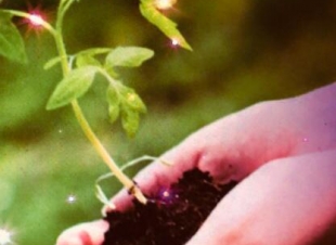 ملامحها تحكي سلاماً