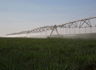 تبوك تتميز في خفض نسب بقايا المبيدات بالمنتجات الزراعية بمقاييس عالمية